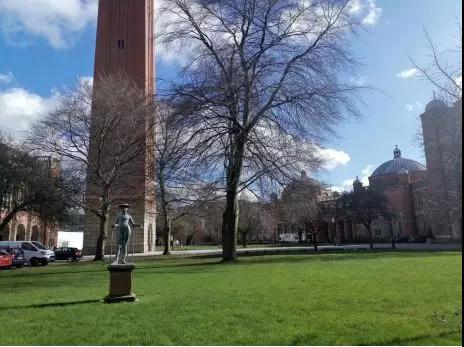 大學(xué)里少有的寧靜(作者供圖) 大學(xué)里少有的寧靜(作者供圖)