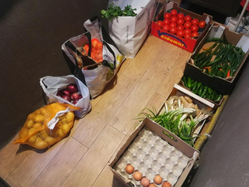 陽(yáng)臺(tái)小菜園。(作者供圖)