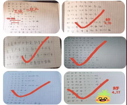 (作者供圖) (作者供圖)