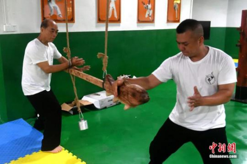 余丹秋為徒弟們傳授動(dòng)作要領(lǐng)。呂明攝