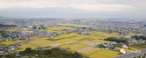 電影畫(huà)面。(日中通信)