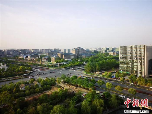 出梅后浙江各地迎來高溫。張煜歡 攝