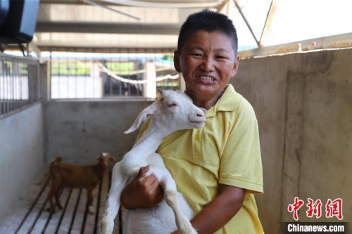 唐根根與小羊羔 張暢 攝