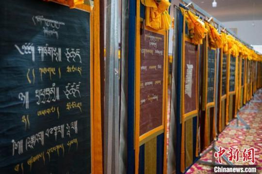 丁青縣展示的《象雄藏文書法唐卡大集》?！〗w波 攝