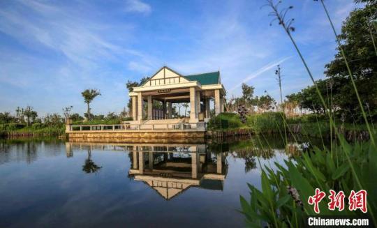 島上淡水湖——湖石淉從臭水溝變成水清清?！×执菏?攝