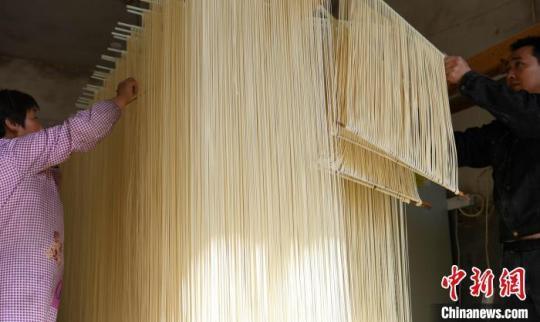 縉云姓王村村民在早晨陽光下晾曬爽面?！⊥鮿?攝