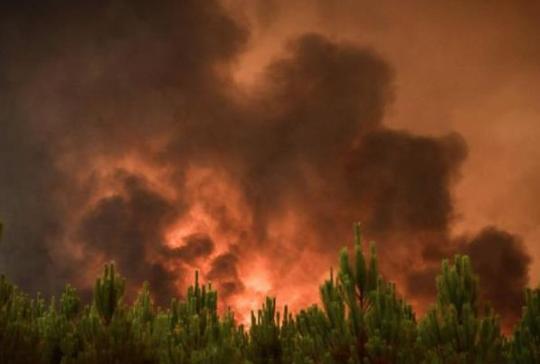 極端高溫持續(xù) 歐洲多國麻煩不斷