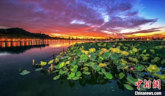 西湖風(fēng)光 馬立群 攝