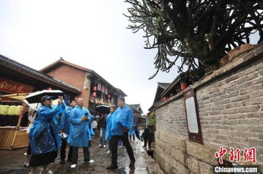 海外華媒代表觀看建昌古城街頭的一棵百年老樹?！⊥趵?攝