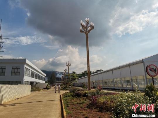 圖為園區(qū)生活區(qū)。 受訪者供圖