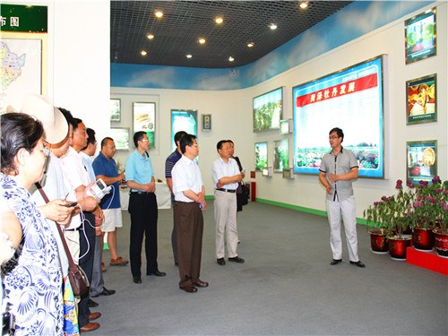 海外華商博士參觀菏澤牡丹產(chǎn)業(yè)園區(qū)