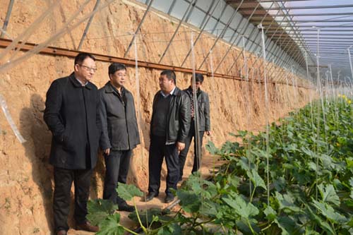 中國(guó)僑網(wǎng)