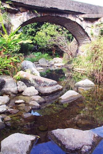 中國(guó)僑網(wǎng)