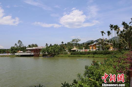 中國僑網海南僑鄉(xiāng)萬寧文通村美景。