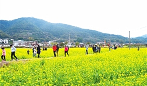 (梅州網(wǎng)網(wǎng)友 mxbglwm 攝)