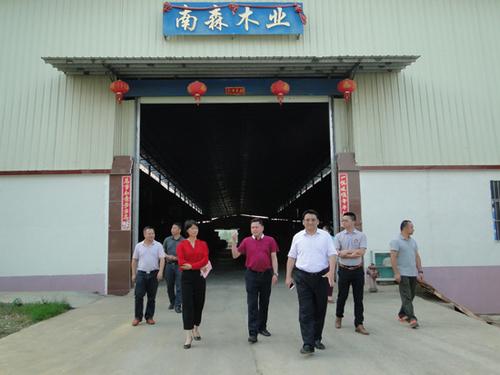 中國僑網(wǎng)崇左市副市長(zhǎng)鄭業(yè)鷺(右三)參觀南森木業(yè)公司膠合板廠