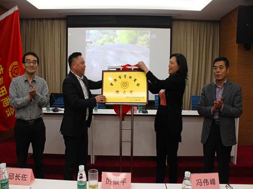 中國(guó)僑網(wǎng)