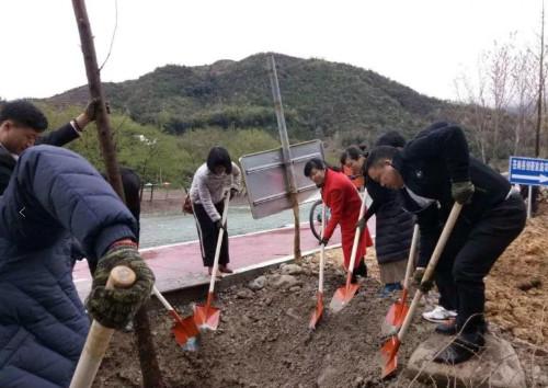 中國(guó)僑網(wǎng)圖片來(lái)源:溫州外僑辦網(wǎng)站