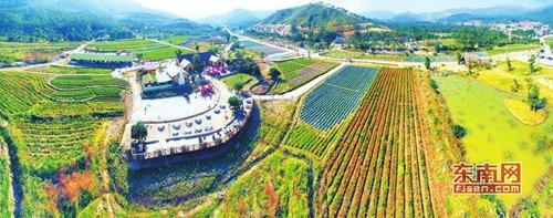 中國(guó)僑網(wǎng)雙第華僑農(nóng)場(chǎng)俯瞰