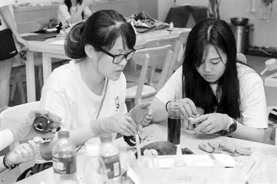 中國僑網布染和布藝