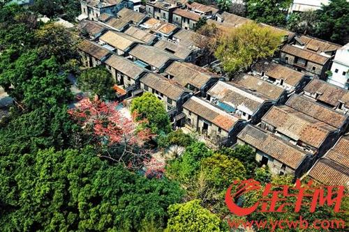 中國僑網(wǎng)鄺其照晚年定居于廣州聚龍村 金羊網(wǎng)記者 周巍 攝