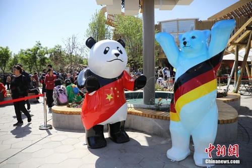 中國僑網(wǎng)中新社記者 趙雋 攝