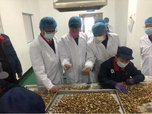 中國僑網(wǎng)(圖片來源:吉林省僑聯(lián)網(wǎng)站)