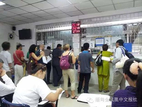 (緬甸《金鳳凰》中文報)