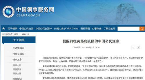 中國僑網(wǎng)中國領(lǐng)事服務(wù)網(wǎng)截屏