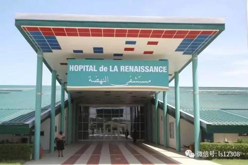 中國僑網中國駐乍得使館助力中資公司緊急轉運搶救重癥病患