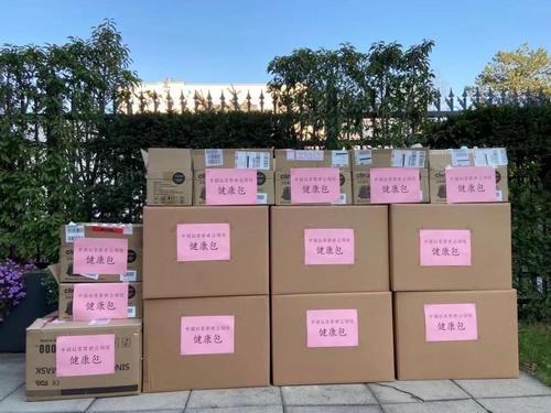 中國僑網(wǎng)圖片來源:中國駐蘇黎世總領(lǐng)事館網(wǎng)站