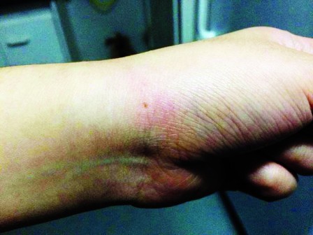 中國(guó)僑網(wǎng)(加拿大《明報(bào)》)