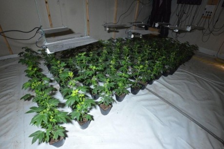 中國(guó)僑網(wǎng)(英中網(wǎng))