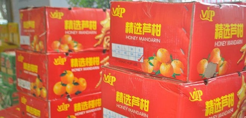 中國僑網(wǎng)(馬來西亞《詩華日報》)