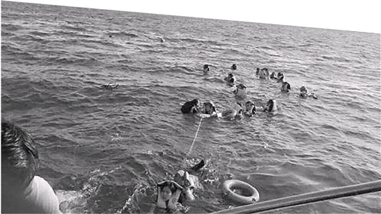 中國(guó)僑網(wǎng)