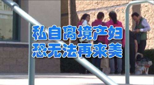 中國僑網(wǎng)(美國中文網(wǎng))