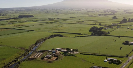 (新西蘭天維網(wǎng))