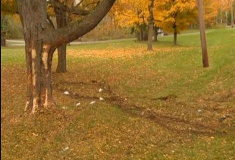 圖為事發(fā)現(xiàn)場(chǎng)