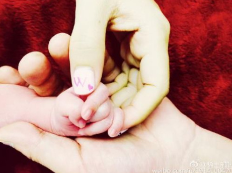 中國女星章子怡微博配圖。