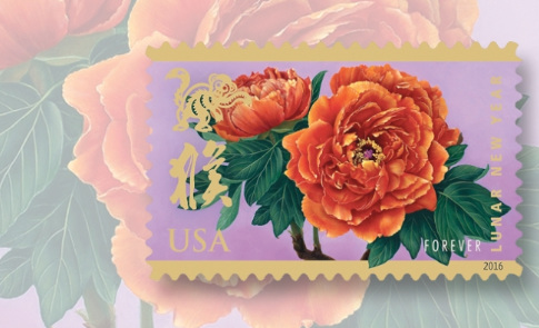 (美國(guó)中文網(wǎng))