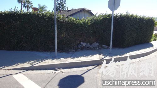 (美國《僑報》)