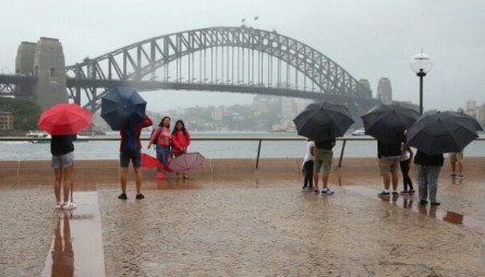 (新西蘭天維網(wǎng))