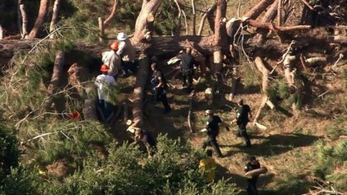 (美國《僑報(bào)》)