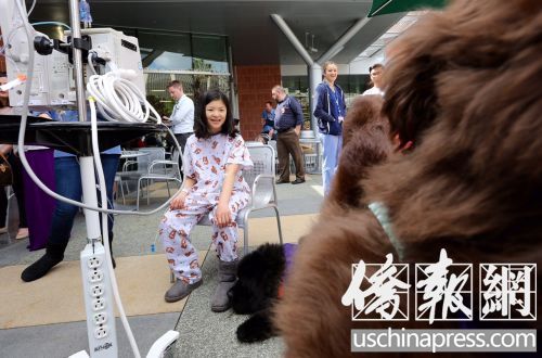 絲姓女童在與治療犬互動(dòng),臉上綻出微笑。(美國(guó)《僑報(bào)》/邱晨