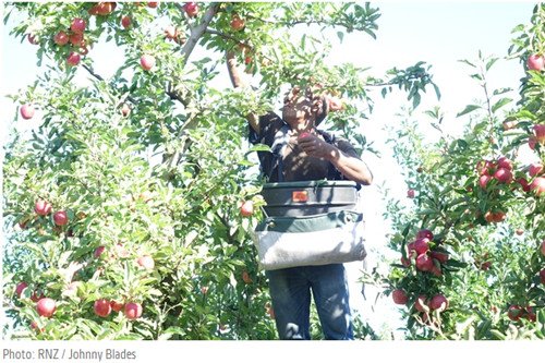 (新西蘭天維網(wǎng))