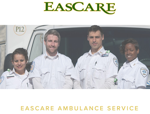 Eascare公司網(wǎng)站截圖。(美國中文網(wǎng))