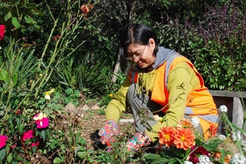 (新西蘭天維網(wǎng))