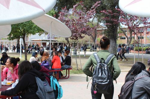 南加某校園里的學生。(美國《僑報》)