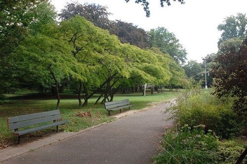 凱辛納公園。(美國(guó)中文網(wǎng)資料照片)