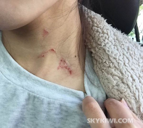 (新西蘭天維網(wǎng))